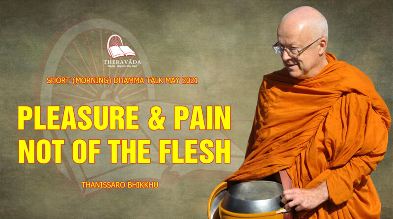 morning short dhamma talk may 2021 thanissaro bhikkhu 3
