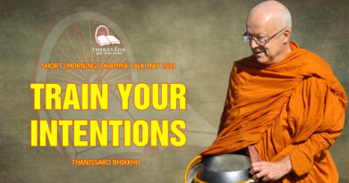 morning short dhamma talk may 2021 thanissaro bhikkhu 31
