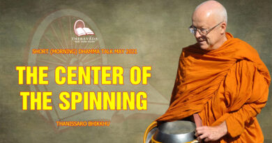 morning short dhamma talk may 2021 thanissaro bhikkhu 6