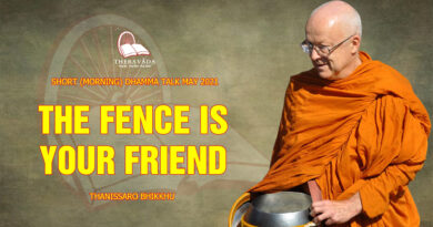 morning short dhamma talk may 2021 thanissaro bhikkhu 7