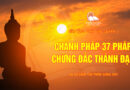 nen tang phat giao quyen 1 su ca chua tuk phos giang 12