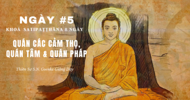 Pháp Thoại Khóa Thiền Satipathana 8 Ngày - Thiền Sư S.N. Goenka
