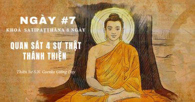 Pháp Thoại Khóa Thiền Satipathana 8 Ngày - Thiền Sư S.N. Goenka