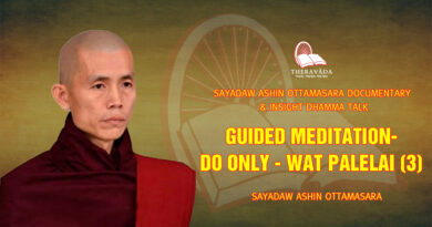 sayadaw ashin ottamasara documentary insight dhamma talk 105