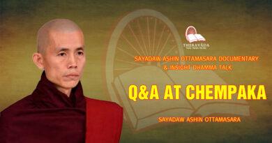 sayadaw ashin ottamasara documentary insight dhamma talk 111