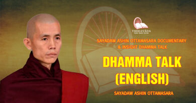 sayadaw ashin ottamasara documentary insight dhamma talk 115