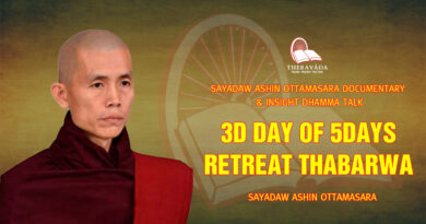 sayadaw ashin ottamasara documentary insight dhamma talk 123