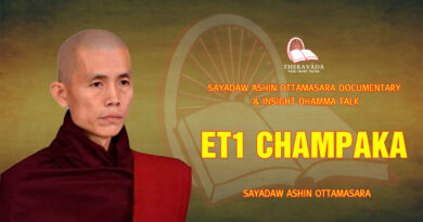 sayadaw ashin ottamasara documentary insight dhamma talk 132