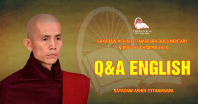 sayadaw ashin ottamasara documentary insight dhamma talk 134