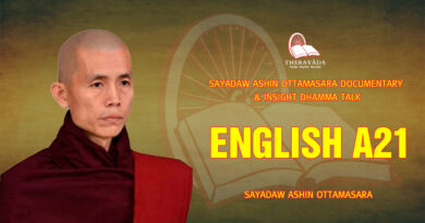 sayadaw ashin ottamasara documentary insight dhamma talk 136
