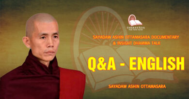 sayadaw ashin ottamasara documentary insight dhamma talk 141
