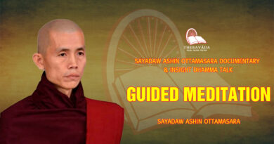 sayadaw ashin ottamasara documentary insight dhamma talk 146