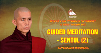 sayadaw ashin ottamasara documentary insight dhamma talk 147