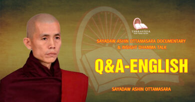 sayadaw ashin ottamasara documentary insight dhamma talk 152