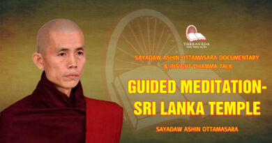 sayadaw ashin ottamasara documentary insight dhamma talk 155