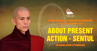 sayadaw ashin ottamasara documentary insight dhamma talk 159
