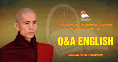 sayadaw ashin ottamasara documentary insight dhamma talk 162