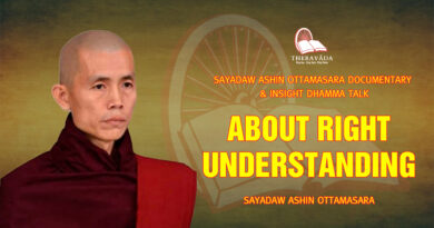sayadaw ashin ottamasara documentary insight dhamma talk 17