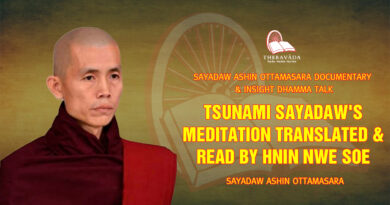 sayadaw ashin ottamasara documentary insight dhamma talk 177