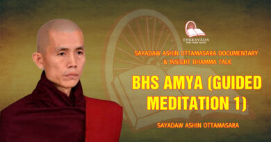 sayadaw ashin ottamasara documentary insight dhamma talk 179