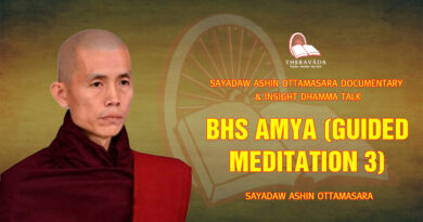 sayadaw ashin ottamasara documentary insight dhamma talk 183
