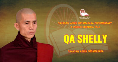 sayadaw ashin ottamasara documentary insight dhamma talk 191