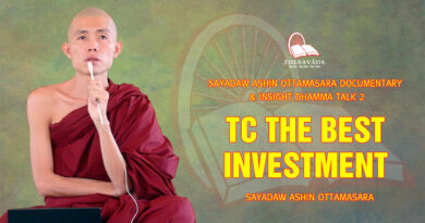 sayadaw ashin ottamasara documentary insight dhamma talk 2 1