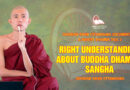 Video 113. Right Understanding About Buddha Dhamma Sangha | Sayadaw Ashin Ottamasara