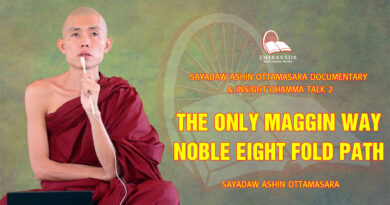 sayadaw ashin ottamasara documentary insight dhamma talk 2 115