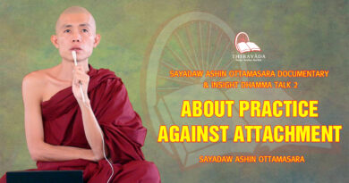 sayadaw ashin ottamasara documentary insight dhamma talk 2 126