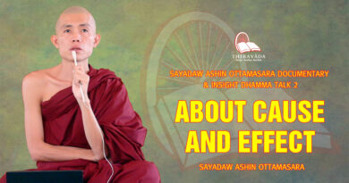 sayadaw ashin ottamasara documentary insight dhamma talk 2 130