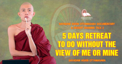 sayadaw ashin ottamasara documentary insight dhamma talk 2 24