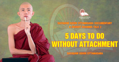 sayadaw ashin ottamasara documentary insight dhamma talk 2 25