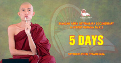 sayadaw ashin ottamasara documentary insight dhamma talk 2 28