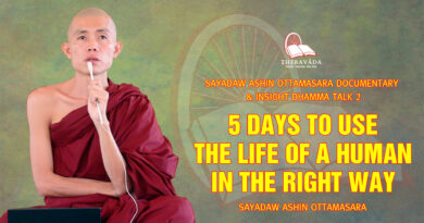 sayadaw ashin ottamasara documentary insight dhamma talk 2 31