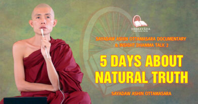 sayadaw ashin ottamasara documentary insight dhamma talk 2 32
