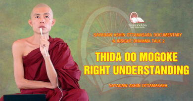 sayadaw ashin ottamasara documentary insight dhamma talk 2 37