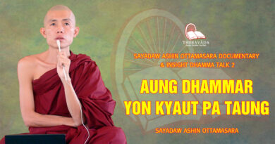 sayadaw ashin ottamasara documentary insight dhamma talk 2 43