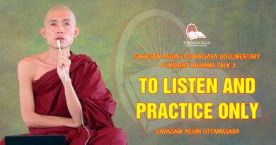 sayadaw ashin ottamasara documentary insight dhamma talk 2 44