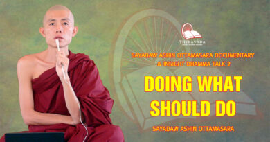 sayadaw ashin ottamasara documentary insight dhamma talk 2 45
