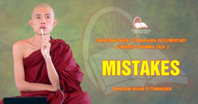 sayadaw ashin ottamasara documentary insight dhamma talk 2 53