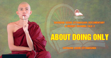 sayadaw ashin ottamasara documentary insight dhamma talk 2 59