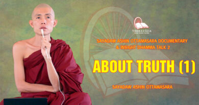 sayadaw ashin ottamasara documentary insight dhamma talk 2 60
