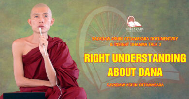 sayadaw ashin ottamasara documentary insight dhamma talk 2 62