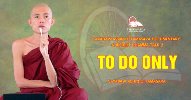 sayadaw ashin ottamasara documentary insight dhamma talk 2 65