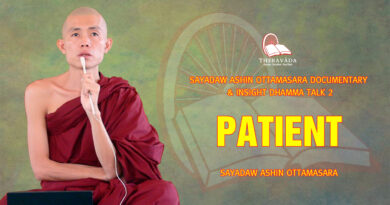 sayadaw ashin ottamasara documentary insight dhamma talk 2 67