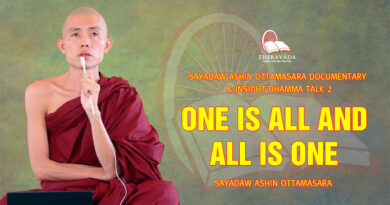 sayadaw ashin ottamasara documentary insight dhamma talk 2 7