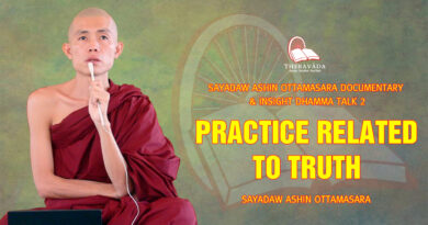 sayadaw ashin ottamasara documentary insight dhamma talk 2 71