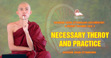 sayadaw ashin ottamasara documentary insight dhamma talk 2 73