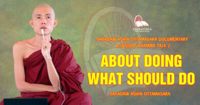 sayadaw ashin ottamasara documentary insight dhamma talk 2 8